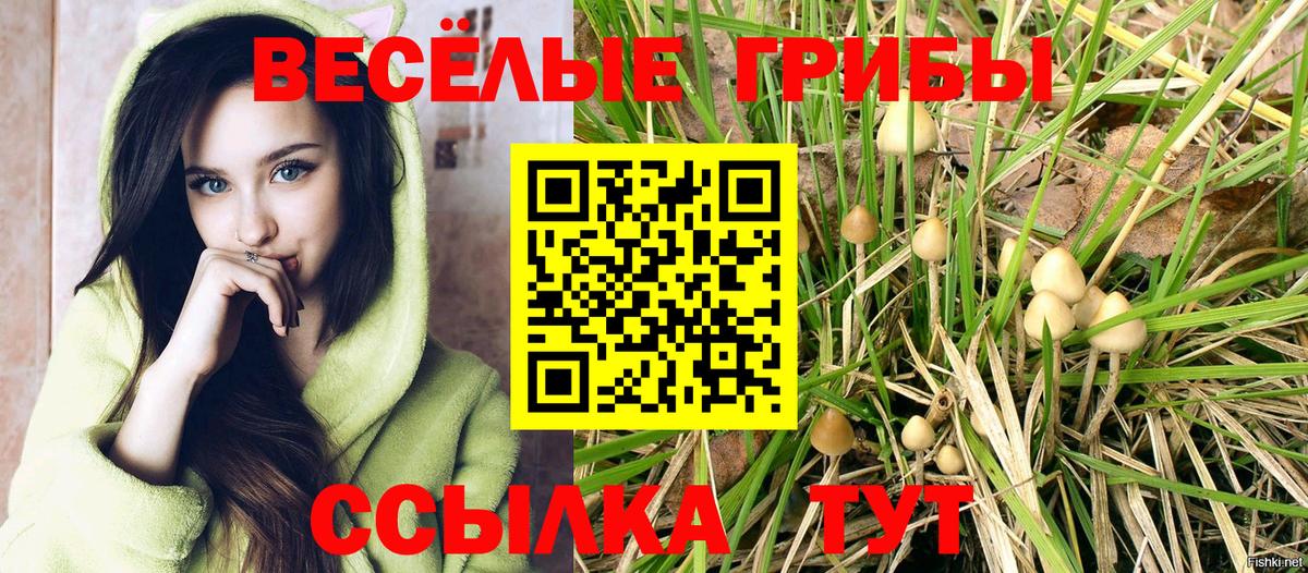Псилоцибиновые грибы Psilocybe  Вход с VPN  где продают   Ленинск-Кузнецкий  Псилоцибиновые грибы ЛСД 