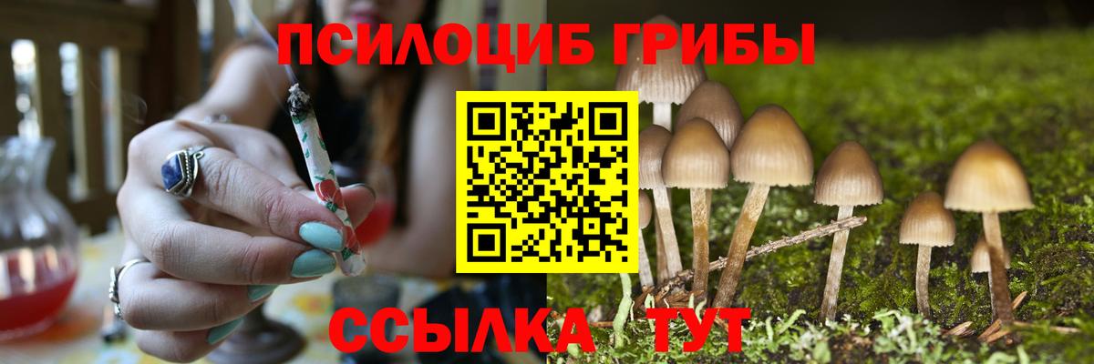 Псилоцибиновые грибы Cubensis Ленинск-Кузнецкий
