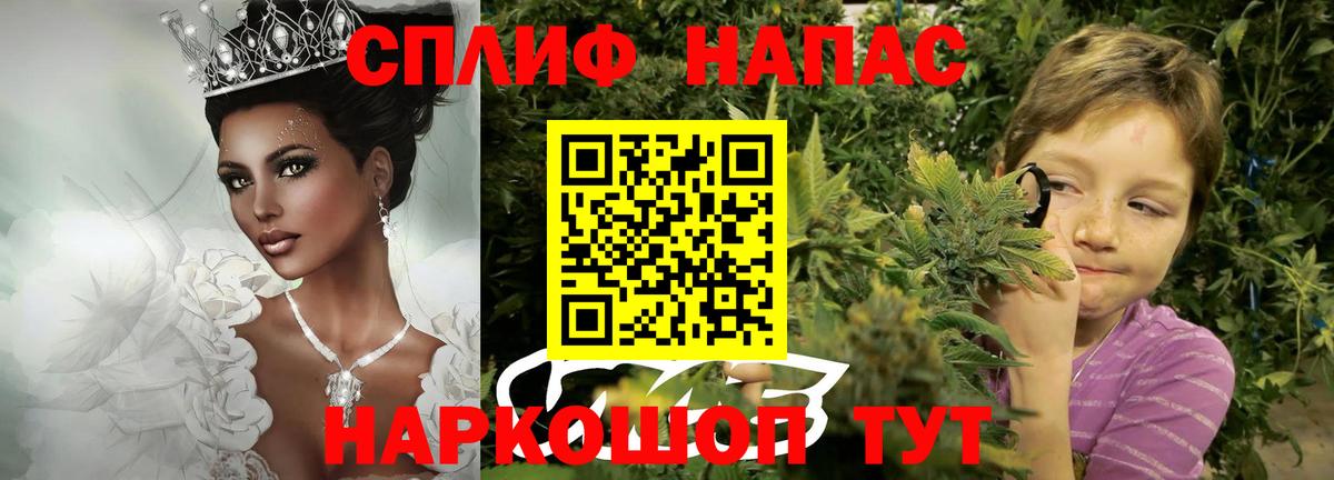 Конопля гибрид  Канабис семена  Вход с VPN  Ленинск-Кузнецкий 